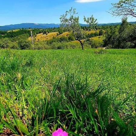 Country house Casa Maria Platoul Luncanilor